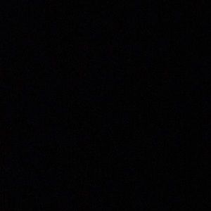 Meet your Posher, Maddie